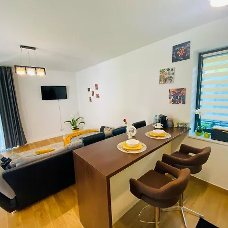 8ight ブラショフ