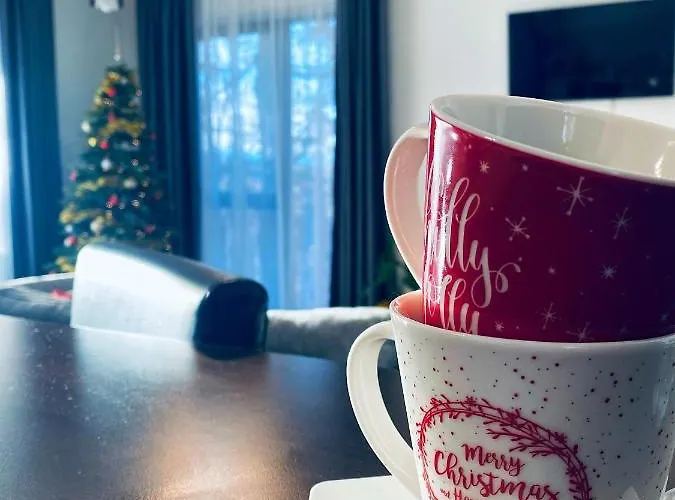 Apartment 8ight Brasov